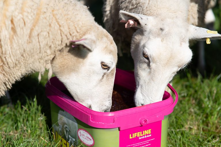 Rumenco Releases New Pink Products for Fundraising Push
