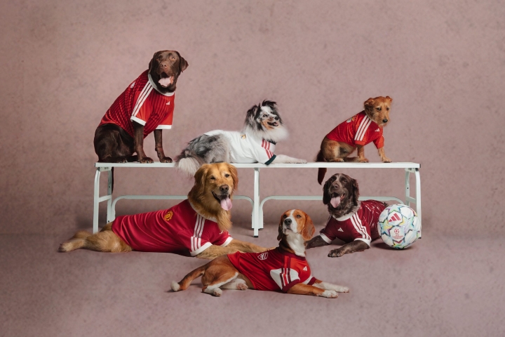 ADIDAS-PET-RANGE_GROUP_EUROPE-1-scaled.jpg