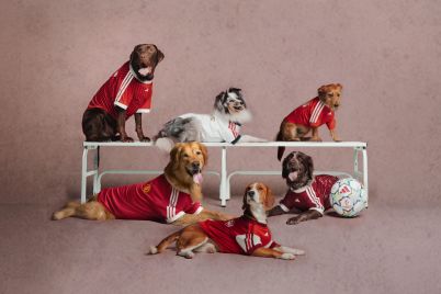 ADIDAS-PET-RANGE_GROUP_EUROPE-1-scaled.jpg